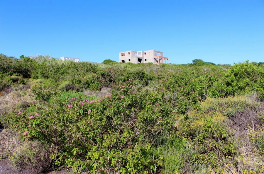 0 Bedroom Property for Sale in Forest Downs Eastern Cape